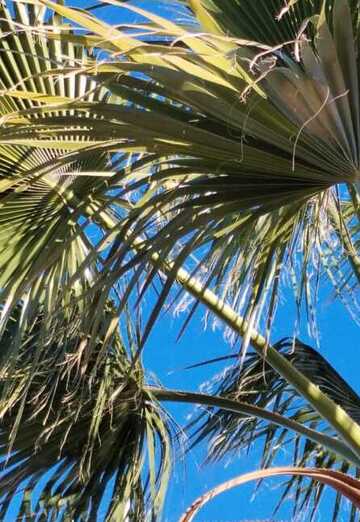 Franck (@franck312) — my photo № 2