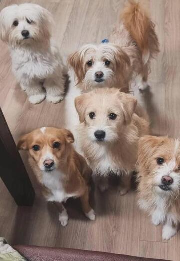 Oblak sato (@oblaksato1) — my photo № 2