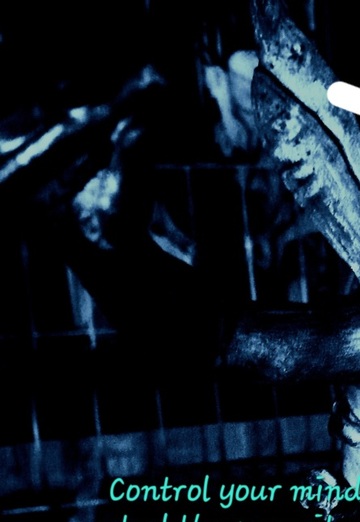 marco (@marco1745) — my photo № 3