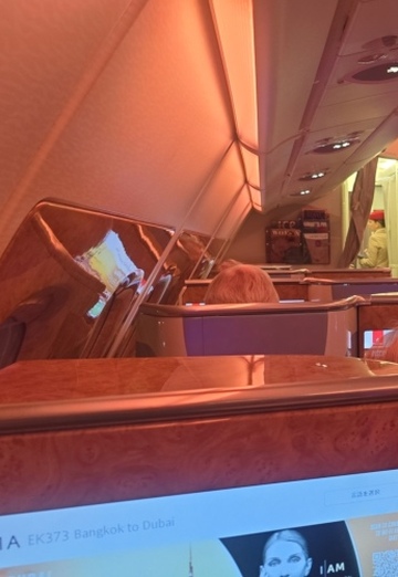 JN HN (@jnhn) — my photo № 1