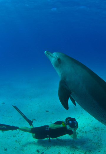 PetyaVienna (@petyavienna) — my photo № 2