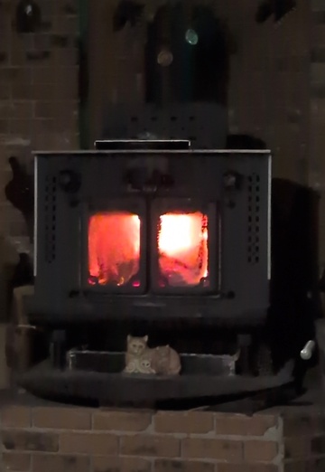 hooks (@hooks9) — my photo № 1