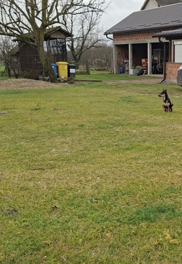 Kristijan (@kristijan30) — my photo № 6