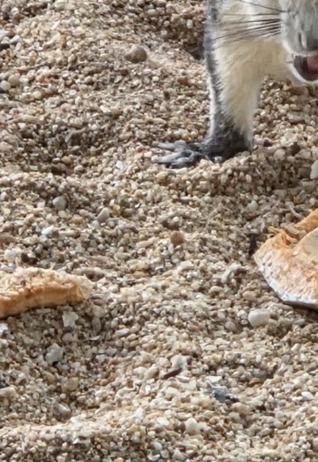 Oliv (@oliv65) — my photo № 1