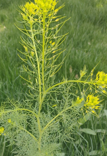 Mohammad aslam (@mohammadaslam1) — my photo № 2