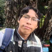 Roy 21 San Borja