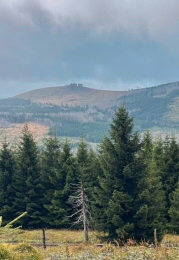 Lfc_east (@lfc-east) — my photo № 4