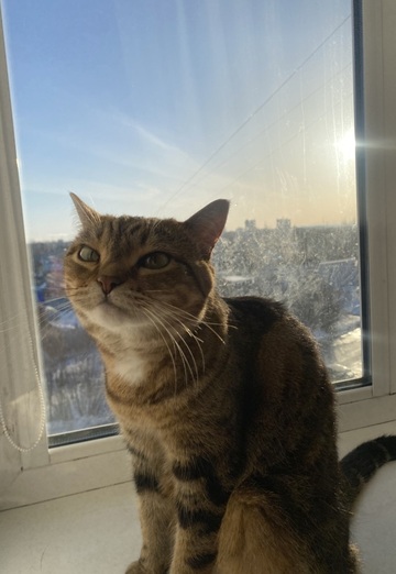 Kseniya (@kseniya103545) — my photo № 1